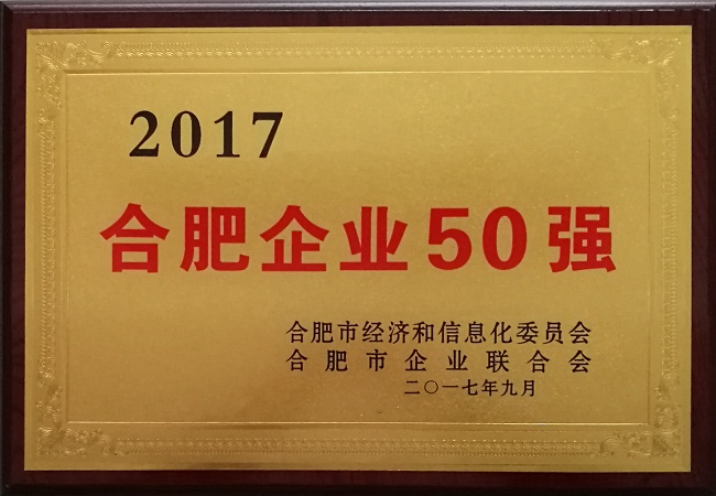 2017年合肥市工业经济总量_2035年合肥市规划图
